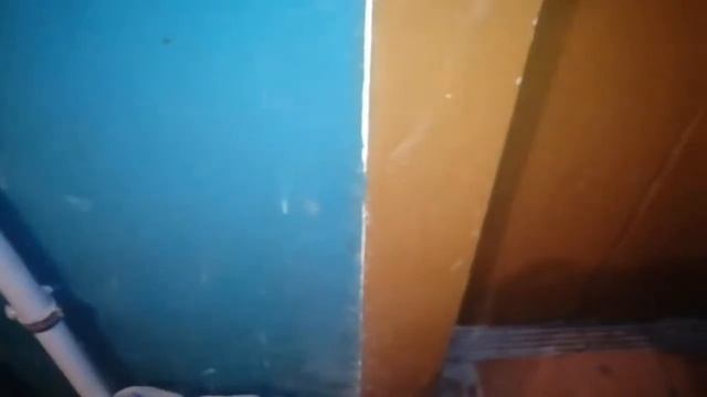 (036.0/19) Лифт МЛЗ 1991г 400кг 0,71 м/с / Фестивальный бульвар 25а, подъезд 3 смотреть онлайн