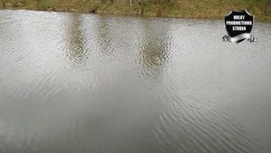 Рыбалка в д.Занино Тульской обл. Заокский р-он