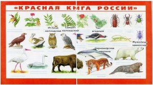 Окружающий мир. Рабочая тетрадь 4 класс 1 часть. ГДЗ стр. 56 №6