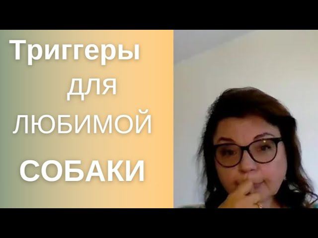 ПОСЛЕ ЭТОГО ВИДЕО ЗООПСИХОЛОГ НЕ НУЖЕН