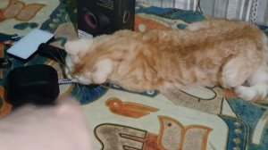 Обзор отличной колонки Fiero Blackline Mini FR120