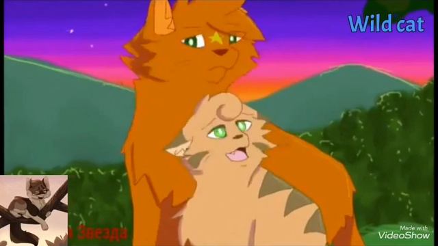 Огнезвёзд/великий/коты воители клип/заказ смотреть онлайн