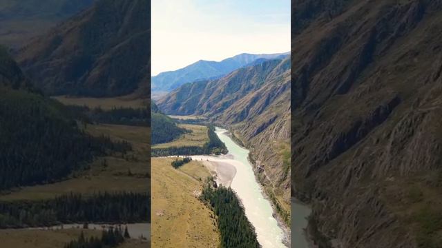 Слияние рек Катунь (голубая) и Аргут (белый),  Республика Алтай.  Начало сентября.