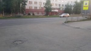 Первая прогулка щенка русской псовой борзой. Важные секреты социализации русской псовой борзой.