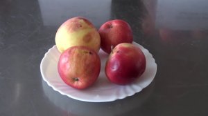 Экспертиза качества яблок