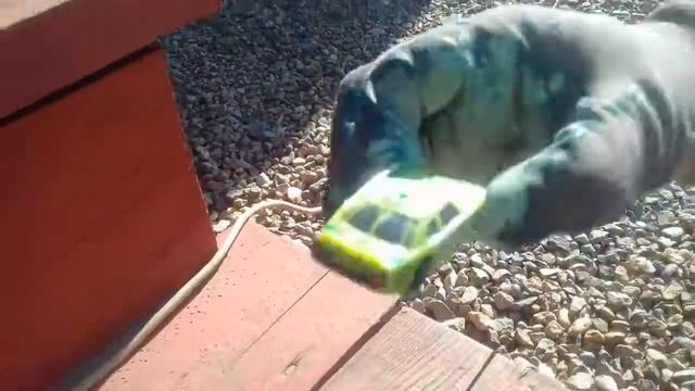 Максимус малаток тридэ малаток. смотреть онлайн