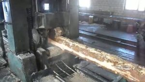 Распиловка леса на лесораме Р-63-4Б -  участок деревообработки