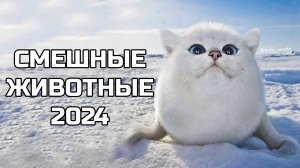 Смешные животные 2024 - попробуй не засмеяться! (№54) котики, котята