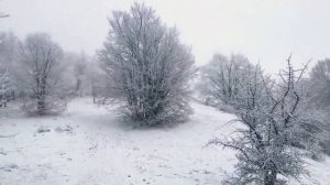 СНЕЖНЫЙ КРЫМ / ГОРНОЛЫЖНЫЙ КУРОРТ В КРЫМУ )) / КАК ПРОВЕСТИ ВЫХОДНЫЕ ЗИМОЙ В ЯЛТЕ