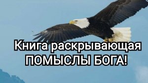 Раскрывая ПОМЫСЛЫ БОГА | Утро с БИБЛИЕЙ | Каждое утро в 6:00 по МСК