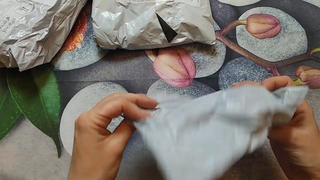 Шмот Распаковка)) Кошелёк, Толстовки и Штаны с Алиэкспресс смотреть онлайн