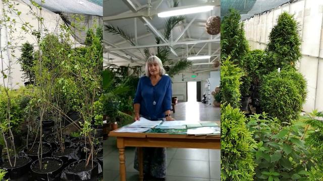 Рекомендации В.Н. Бурковой смотреть онлайн