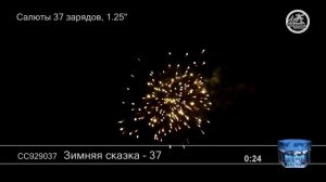 СС929037 Зимняя сказка-37