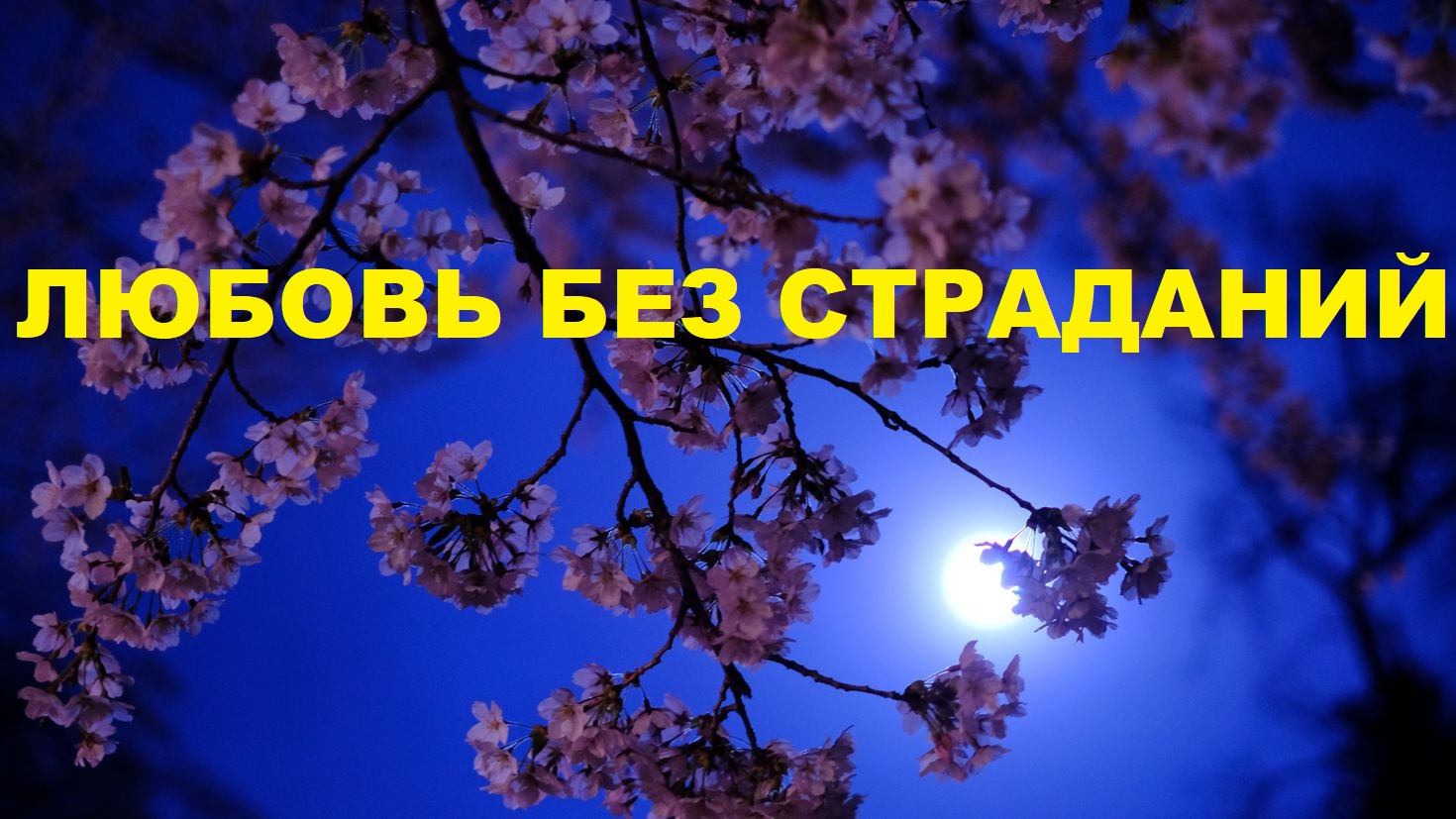 КАК ИЗБЕЖАТЬ РАЗОЧАРОВАНИЙ И РЕВНОСТИ В ЛЮБВИ / Таро Расклад