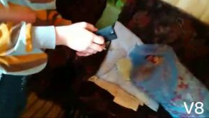 Пауза челлендж