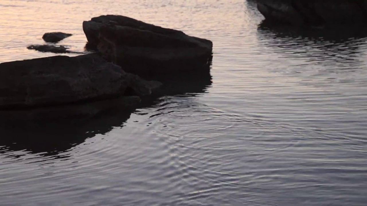 Казахстан-2019 с клубом Нейтральная полоса. Водоплавающая змея смотреть онлайн