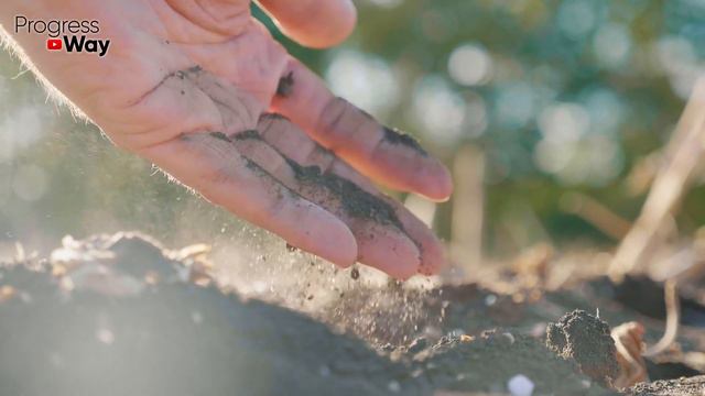 Рассада Больше Не Будет Погибать Если Делать Вот Так! смотреть онлайн