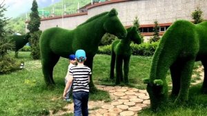 Лошадь из травы, топиари, садовая фигура, ландшафтная парковая