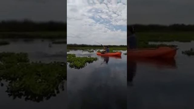 Algo de la pesca de taruchas realizada en san nicolas de los arroyos