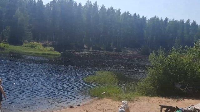 Озеро Каменка Рахья Ленинградская область смотреть онлайн