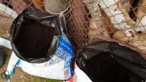 Дачный влог.Дача весной.Посадка цветов рассадой.Моя дача в мае.Красивые цветы.Дачные дела весной