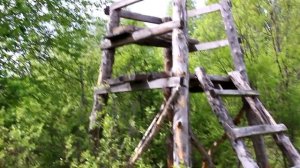 Кострома. Поход с ночевкой . Маршрут Шода Пустынь Сандогора