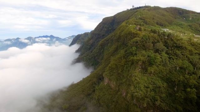 Hidden Garden Premium Tea | Melaleuca смотреть онлайн