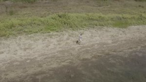 DJI MAVIC 2 PRO - ALL Intelligent Flight Modes - EXPLAINED!