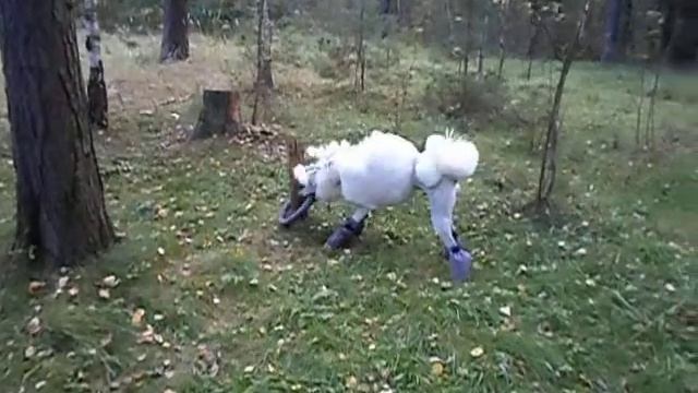 логическая задача смотреть онлайн