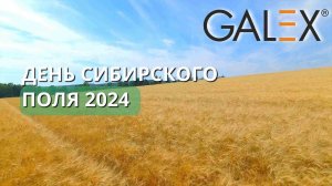 2024 Галэкс и День сибирского поля