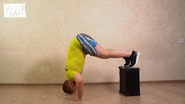 База знаний - Вертикальные отжимания с возвышенности смотреть онлайн