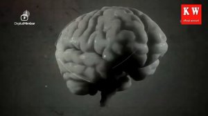 Запрет прелюбодеяния в Исламе.Смотреть всем