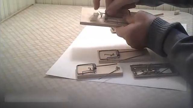 Крысоловка металлическая /2 /120