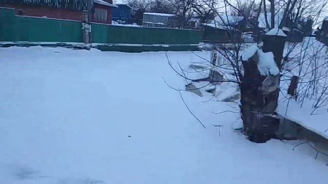 Последствия потопа в Ярославле СНТ им Мичурина смотреть онлайн