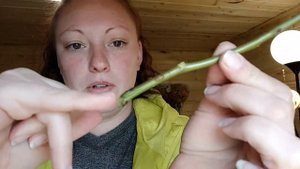 Как вырастить розу из букета