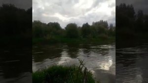 Река Коса!Зуевский район,Кировская область.