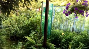 Фотосетка "Мечта"