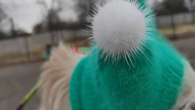 ? Шапочка для собачки"ВОЛЧОК" из норки. / ? Ссылка на МК в описании. смотреть онлайн