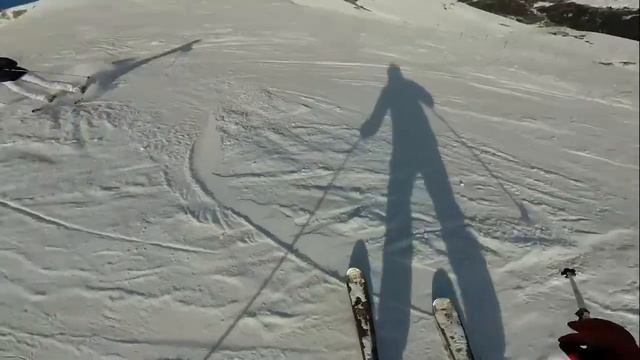 Rhododendron Blue. Tignes, Espace Killy. смотреть онлайн