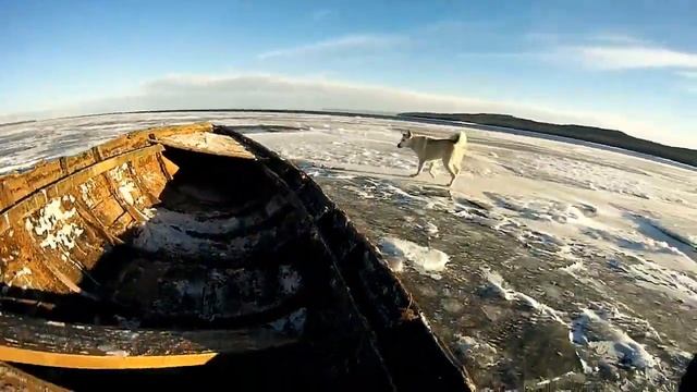 Сибирь 38 смотреть онлайн