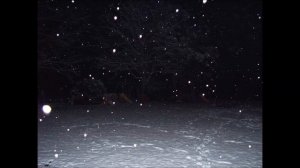 William Basinski - Silent Night (Re-edited short)