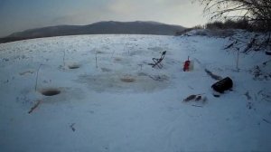 Зимняя рыбалка на Амуре! Последняя в 2020-ом году! Хорошая погода! ЩУКА и ЛЕНОК на хапугу!!!