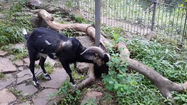 Тимур 18 июля 2016 г. смотреть онлайн