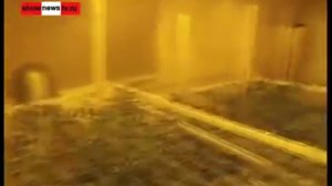 Мужик выращивал дома коноплю и естественно спалился.