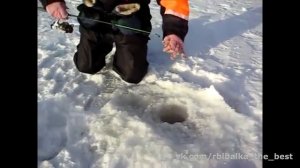 Зимняя ловля окуня на БАЛДУ Ладога