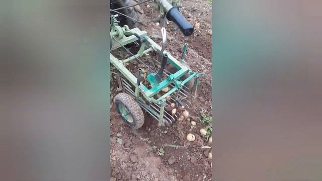 картофелекопалка для мотоблока.