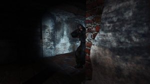 Бессмертный Боров, путь к лаборатории | OGSR Gunslinger Addon | Серия 14