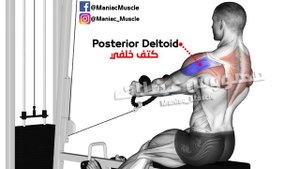 КАК НАКАЧАТЬ БОЛЬШИЕ ПЛЕЧИ!? ТОП УПРАЖНЕНИЙ НА ЗАДНИЕ ДЕЛЬТЫ!