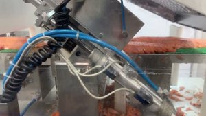 Salmco 5290 Автоматический слайсер для рыбы