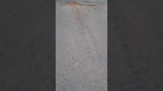 Что такое Газоблок?! Арболит или Газоблок